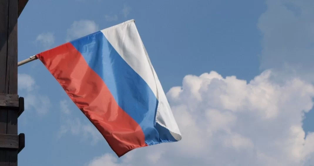 Ученые из Петербурга создали два новых сорта арахиса